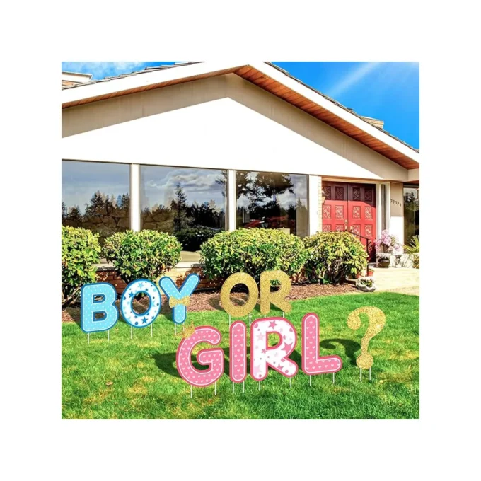 10 Pieces Gender Reveal Party Decorations Supplies Baby Shower